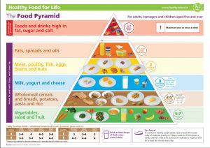 pasta nutritional pyramid